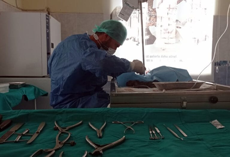 Mardin’deki rehabilitasyon merkezinde 831 sokak hayvanı tedavi edildi