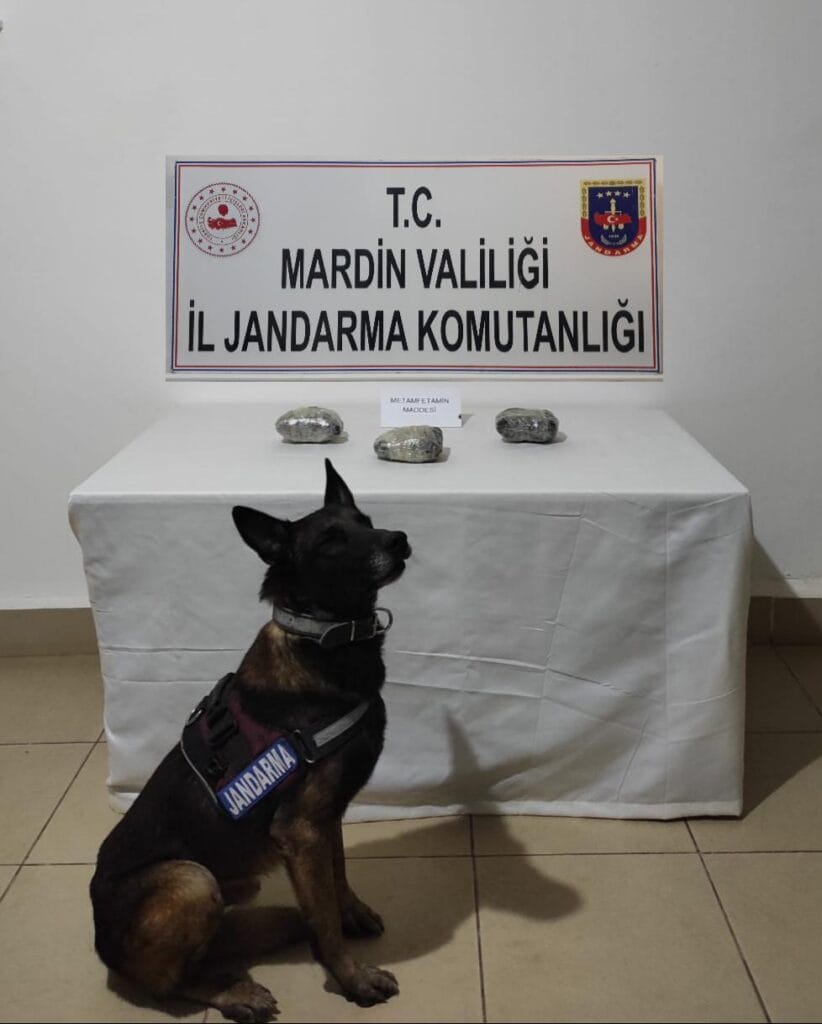Mersin’den özel araçla getirilen uyuşturucu Mardin’de jandarmaya takıldı