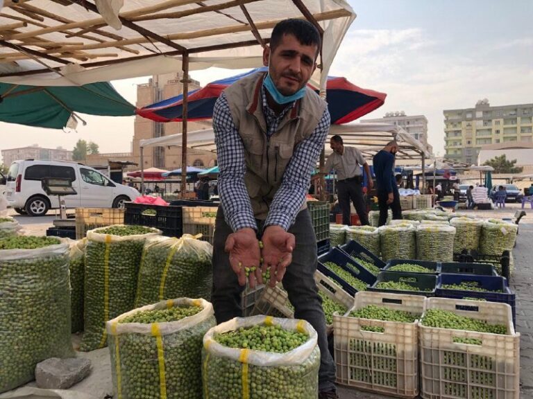 23 yıldır Kızıltepe İlçe Otogarında zeytin pazarında esnaf olan Mustafa İldem, bu sene zeytinlerin çok pahalı olduğunu söylüyor. İldem kendilerine daha düzgün bir yer verilmesi için belediye yetkililerine çağrıda bulundu.