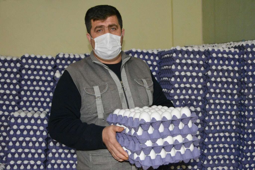 Son 3 ayda yumurtaya yüzde 150 zam yapıldı