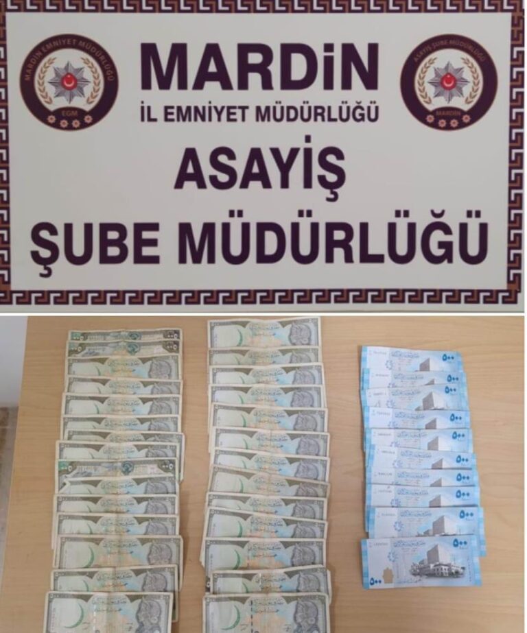 Mardin polisi 378 saatlik kamera kayıtlarını inceleyip hırsızlık zanlılarını yakaladı