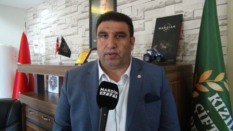 Mardin Ovası suya hasret kaldı, çiftçi tedirgin