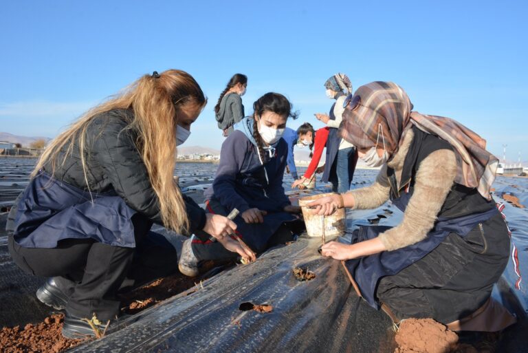 Kaymakamın eşinin öncülüğünde kadınlar 20 dönümde çilek yetiştirecek