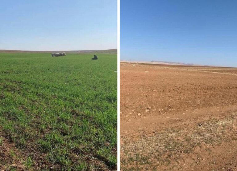 Mardin’de çekilen iki fotoğraf kuraklığın ne boyutta olduğunu gösteriyor