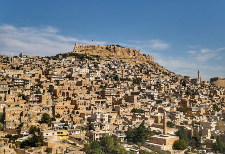 Mardin mutfağını dünyaya tanıtacak Proje tamamlandı