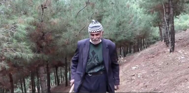 Mardin’de 11 bin ağaç diken ‘Şeyhmus Amca’nın hikayesi BBC’de
