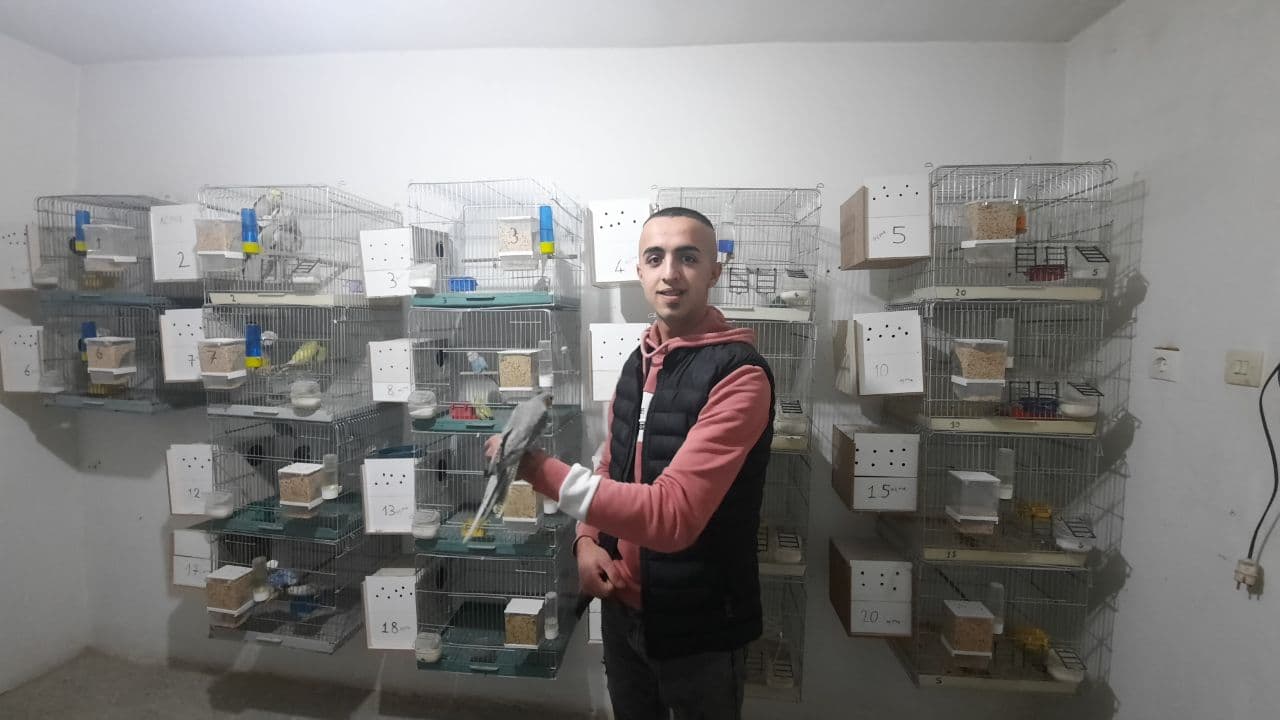 Evinin damında beslediği papağanları bölge illerine satıp, paraya para demiyor