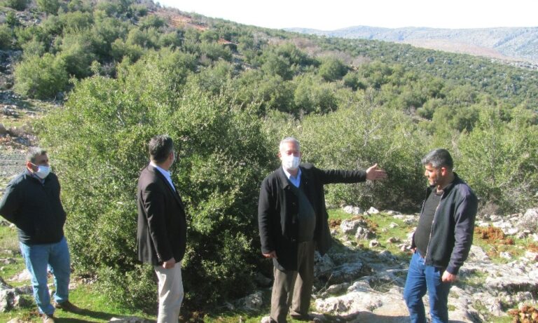850 dönümlük meşe ormanı için itfaiye yolu talebi
