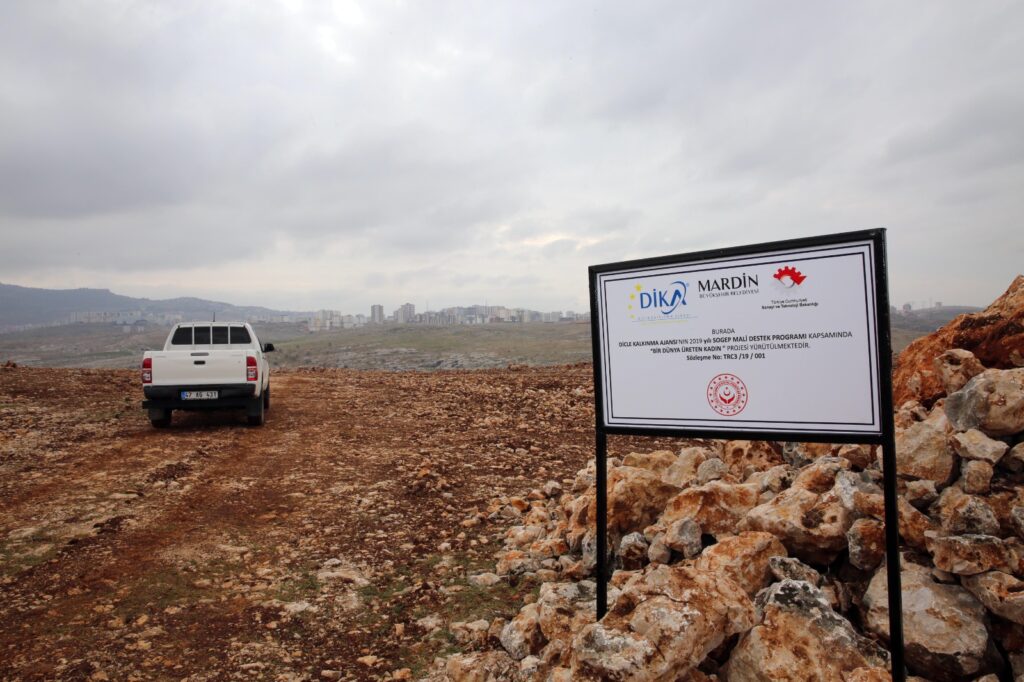 Mardin’de 255 bin metrekarelik alan kadınların lavanta bahçesi olacak