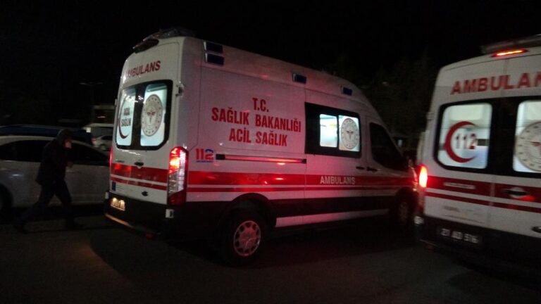 Diyarbakır’da köpek meselesi kavgasında silahlar çekildi: 12 yaralı