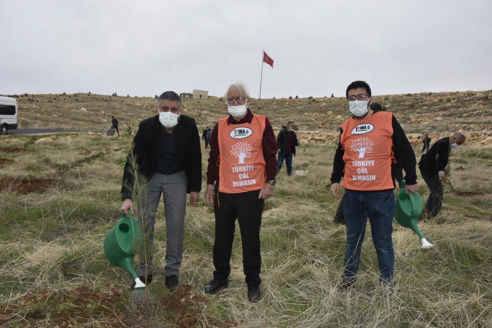 Mardin’de sağlık çalışanları adına hatıra ormanı oluşturuldu