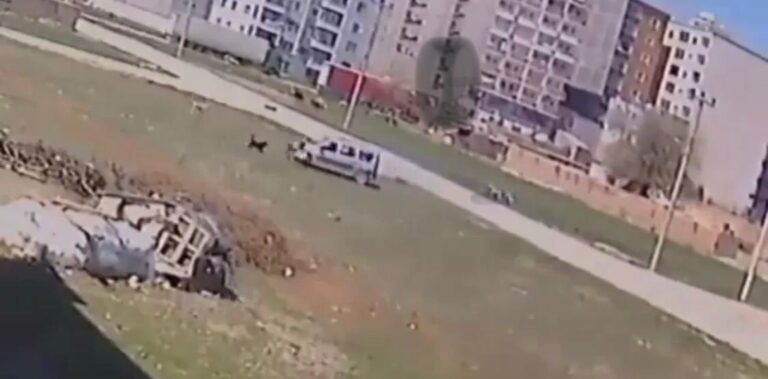 Sokak köpeklerinin çocuğa saldırma anı kameralara yansıdı