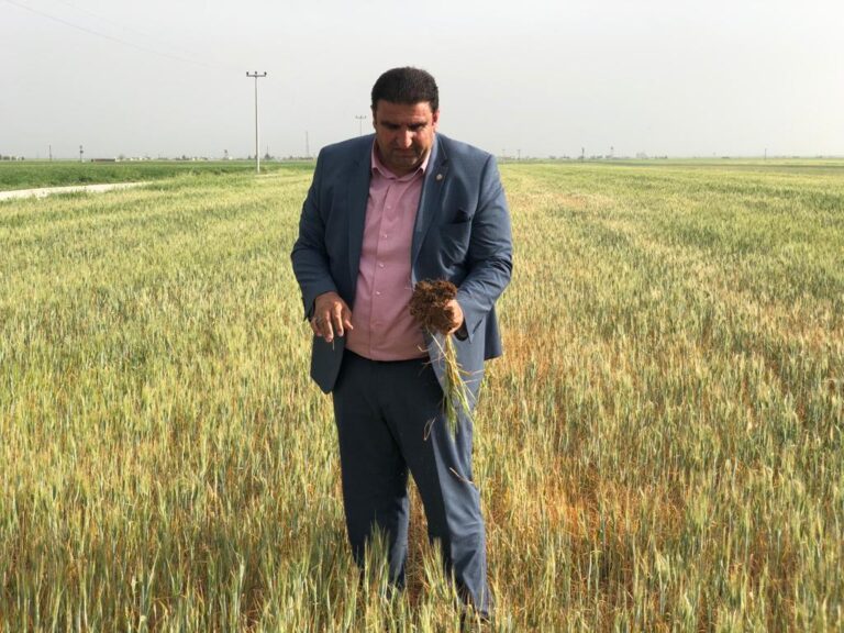 Mardin’de çiftçilerin kuraklık çığlığı: TRT payı ve vergiler faturalardan düşürülsün