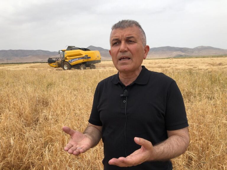 Mardin’de sezonun ilk buğday hasadı kuraklık gölgesinde başladı