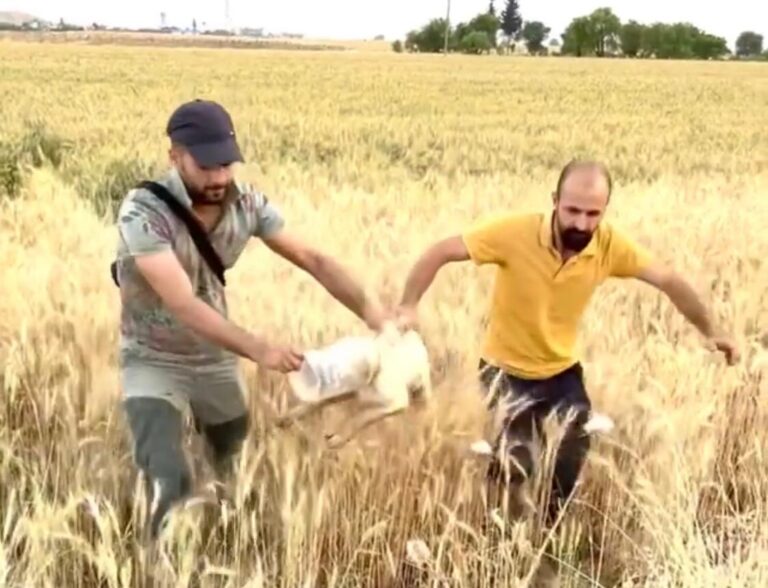 Mardin’de okul müdürü, başı bidona sıkışan köpeği kurtardı