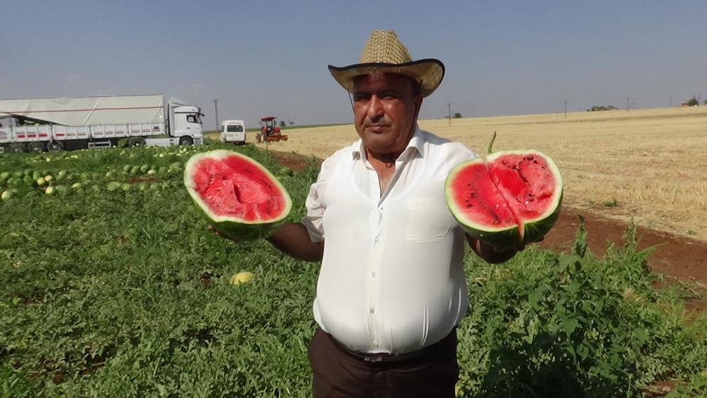 Diyarbakır’ın tescilli karpuzunda hasat zamanı