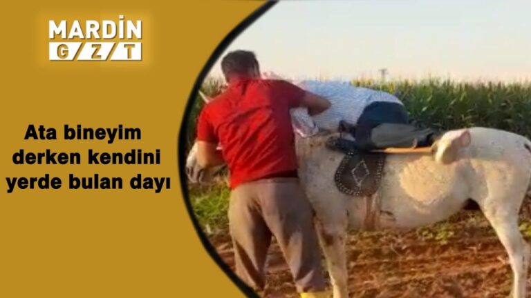 Ata bineyim derken kendini yerde buldu