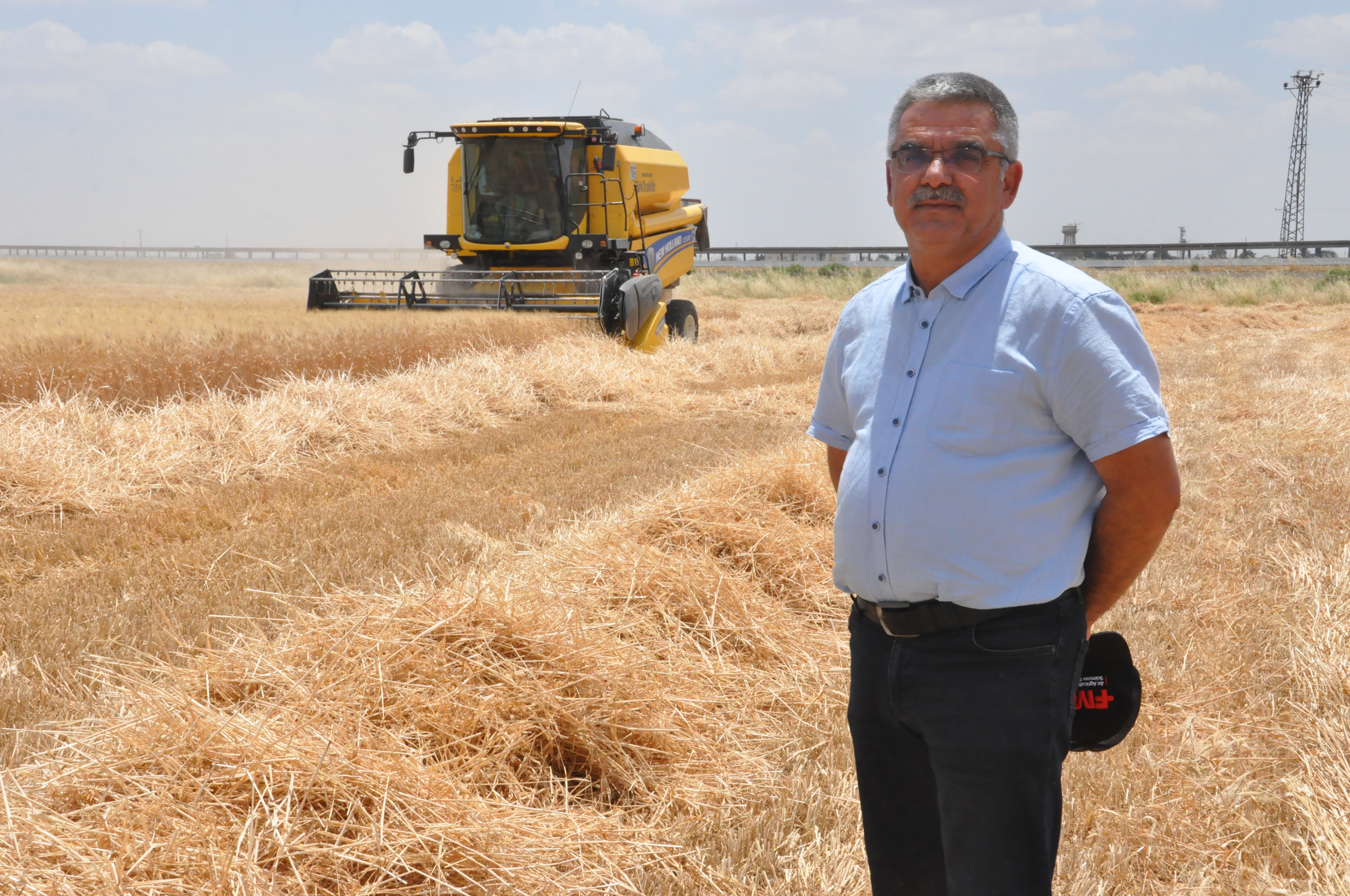 Mardin’de 43 yıllık çiftçi: Keşke buğday fiyatı yükselmeseydi insanlar ekmek alabilseydi