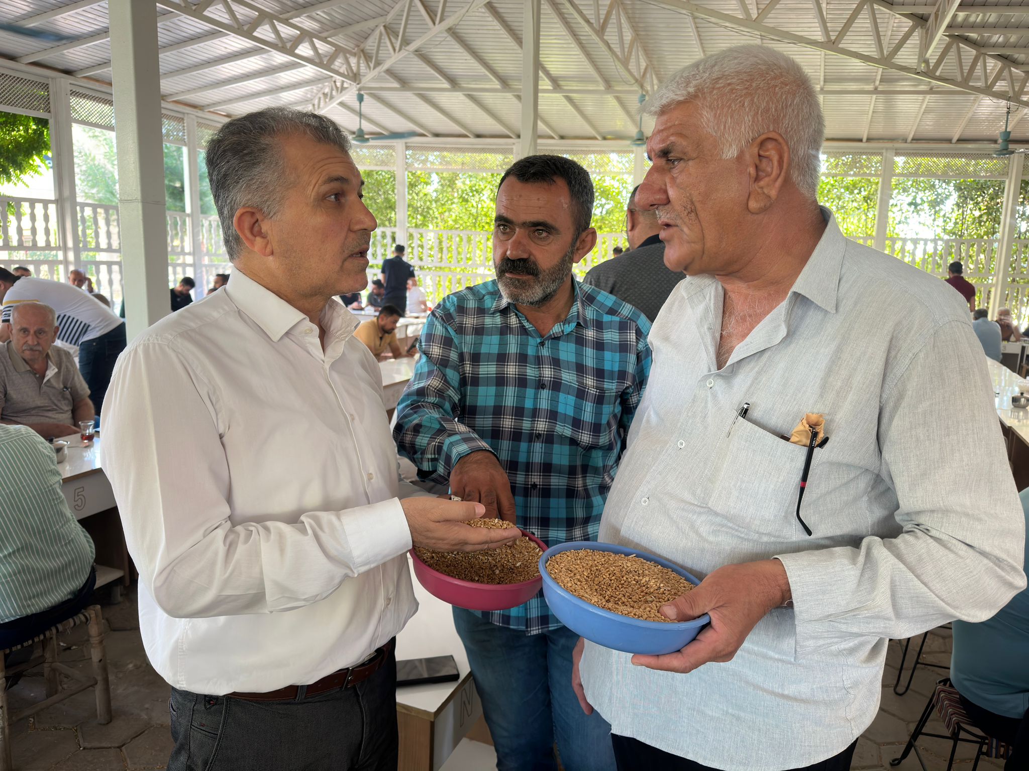 Kızıltepe Zahireciler Derneği Başkanı Öter’den TMO’ya sitem: Şuanda çiftçi sisteme giriyor, randevu alamıyor