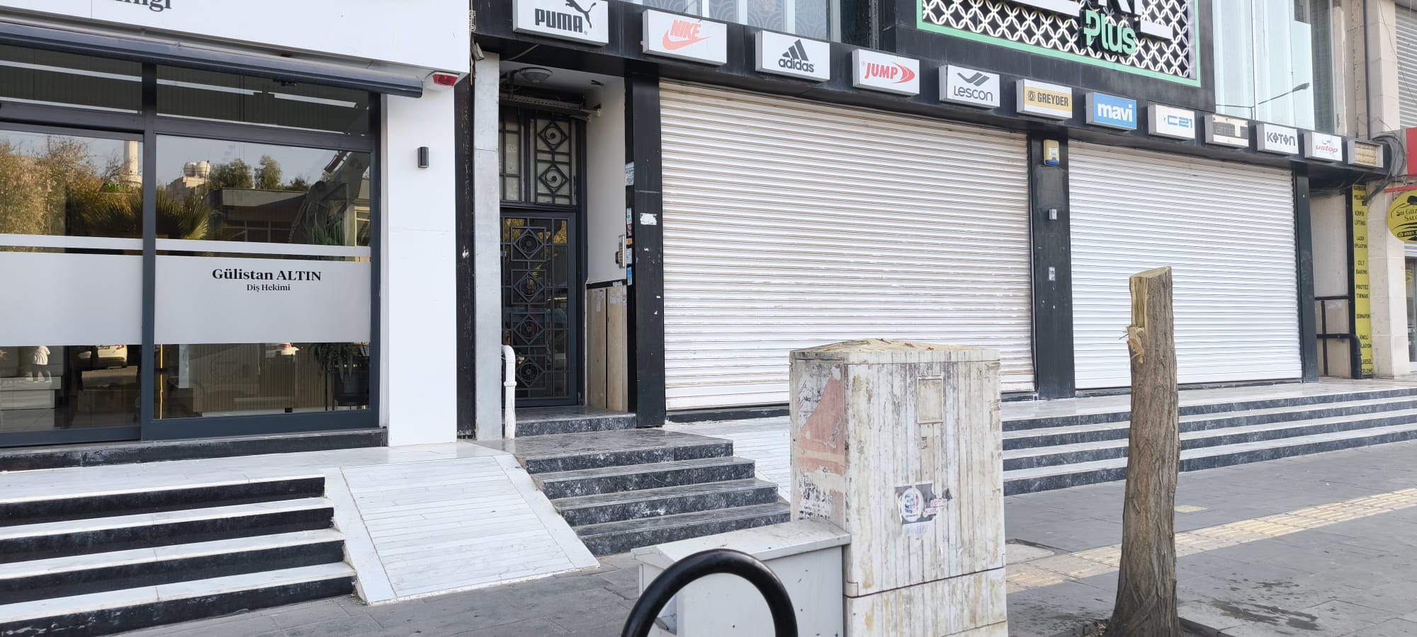 Kızıltepe’de ağaçtan rahatsız oldular, 15 yıllık ağacı kestiler