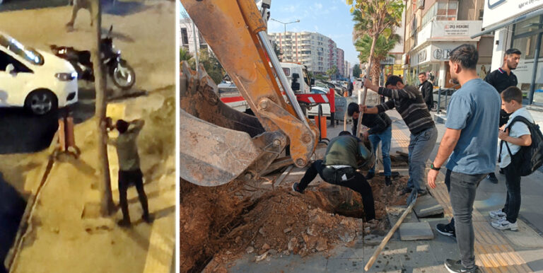 Ağaç kesenlere cezai işlem uygulanarak yerine ağaç dikildi