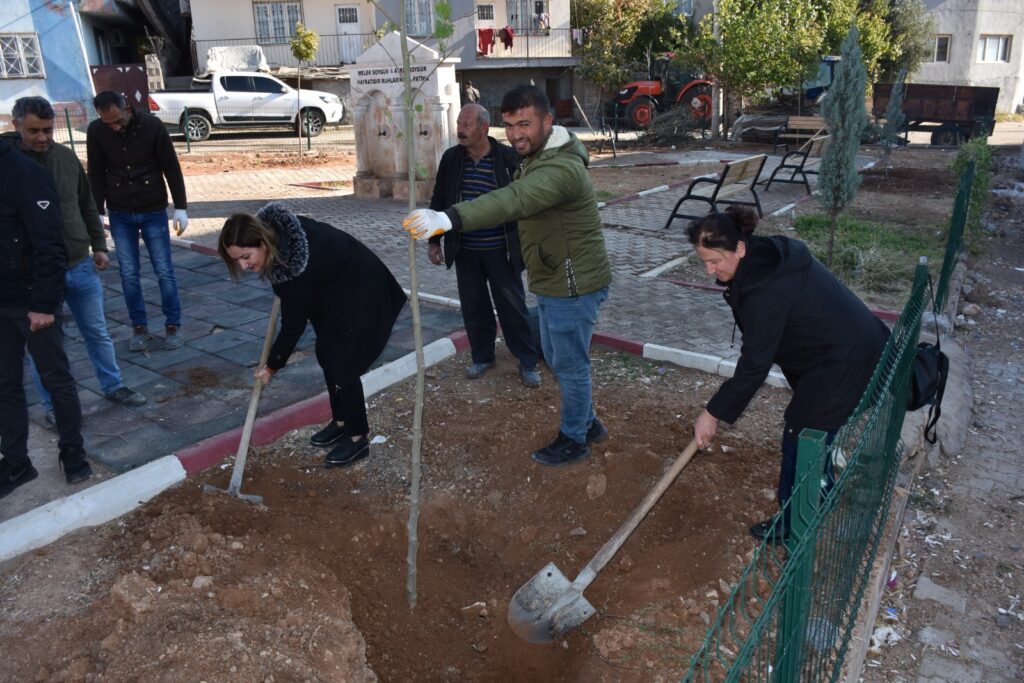 Derik belediye Eş Başkan fidan dikimi gerçekleştirdi