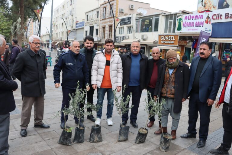 Kızıltepe’de zeytin fidanları dağıtıldı