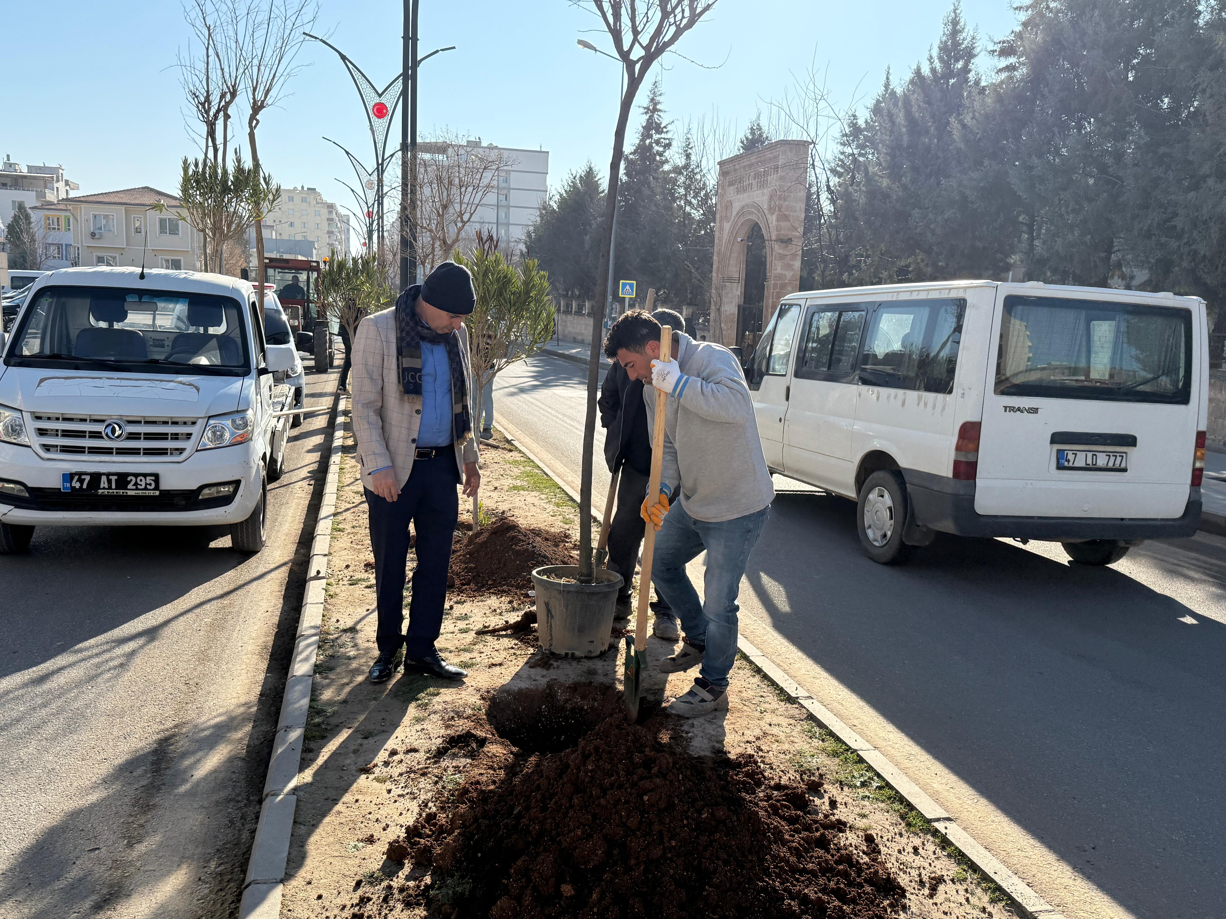 Dargeçit Belediyesi Çalışıyor, Dargeçit’in Çehresi Değişiyor