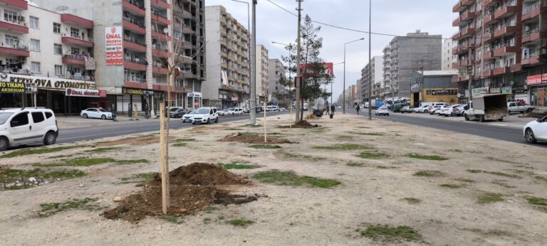 İpek Yolu Refüjlerine Ağaç Dikimi Başladı