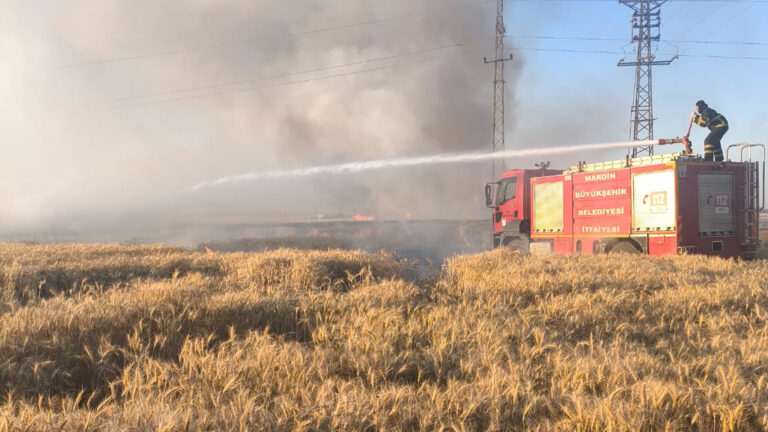 Mardin’de 155 dönüm buğday tarlası yangında zarar gördü
