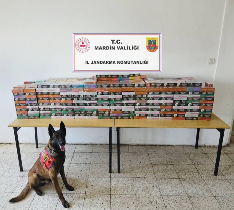 Mardin’de Kaçak Tütün Operasyonu: 4 Milyon TL’lik Ürün Ele Geçirildi