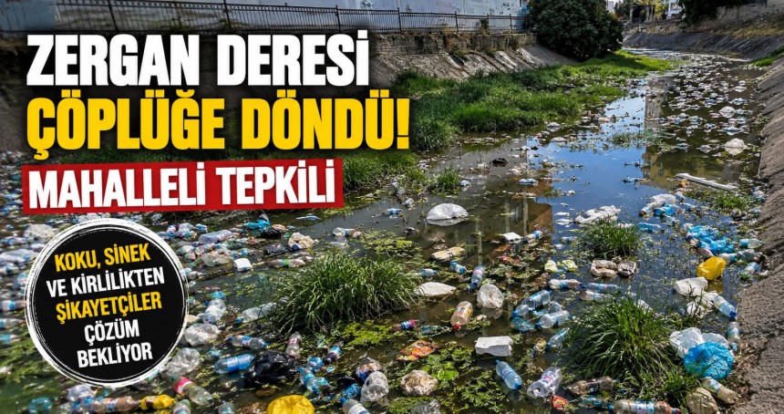 Yıllardır aynı manzara: Zergan Deresi çöplüğe döndü
