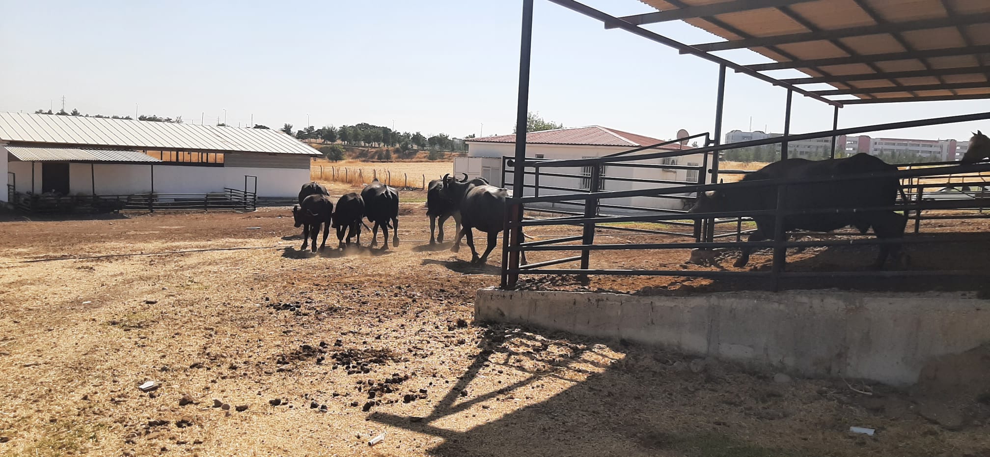 Mandalar İtalya’dan,Üretim Diyarbakır’dan
