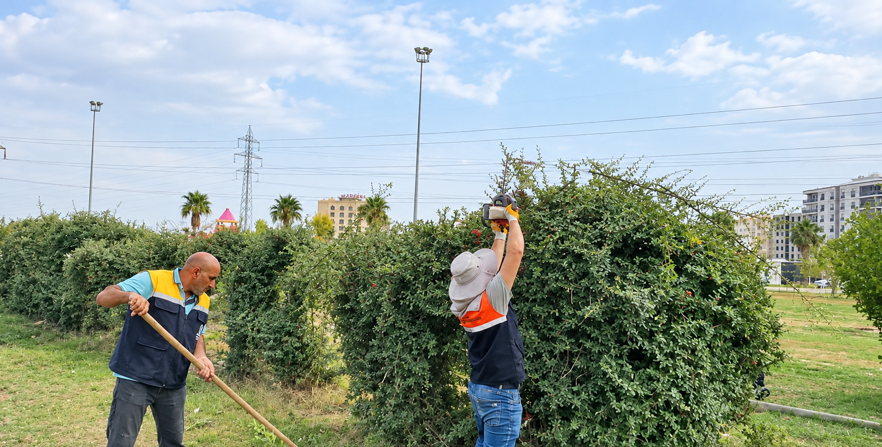 Kızıltepe’de Ağaçlar Güvenlik İçin Budanıyor
